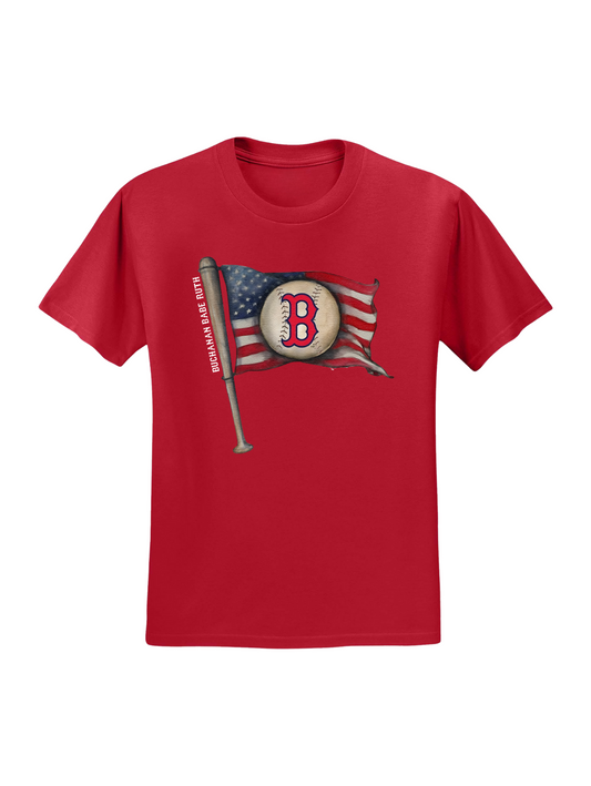 VIntage Baseball Flag Tee
