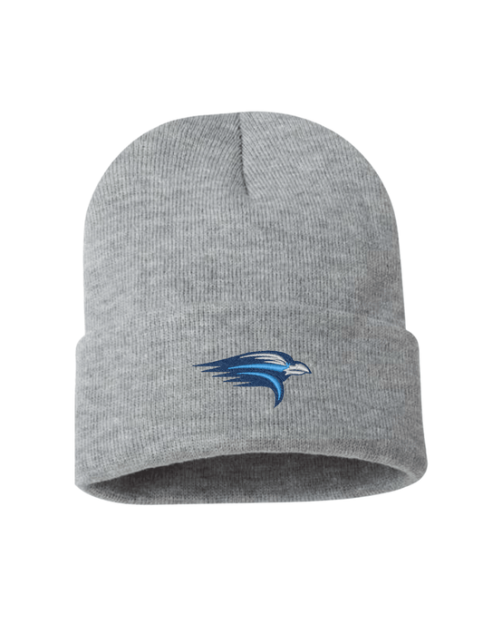 Raven Logo Embroidered Beanie  - Gray